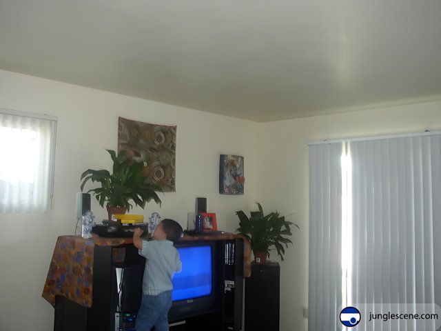Young boy watching TV in living room