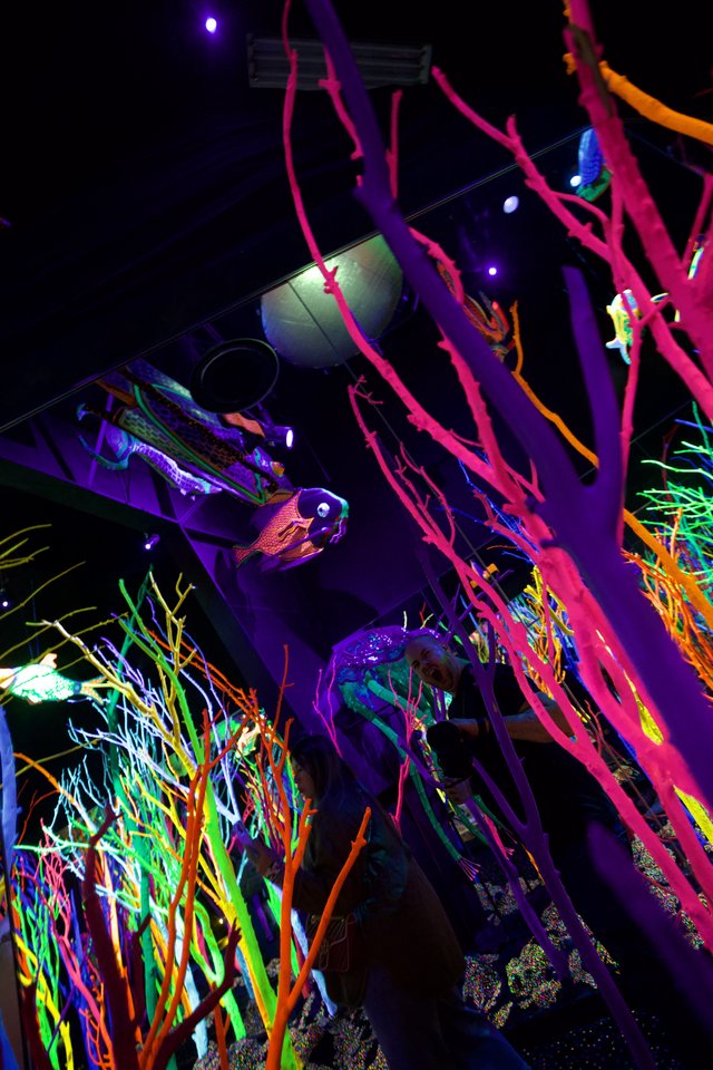 Neon Underwater Fantasy: Glowing Marine Art Installation