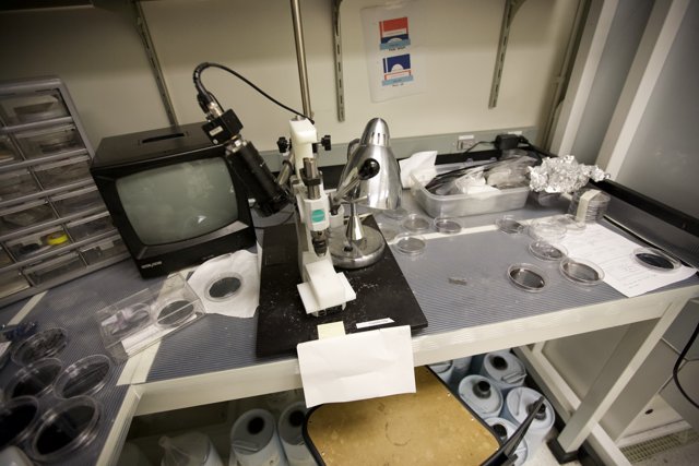Microscope and Equipment on Laboratory Table