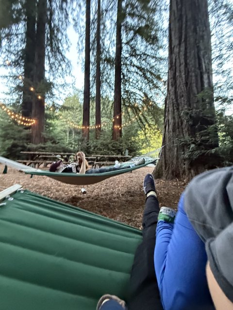 Tranquil Dusk in Guerneville