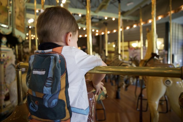 First Carousel Ride: A Toddler's Adventure