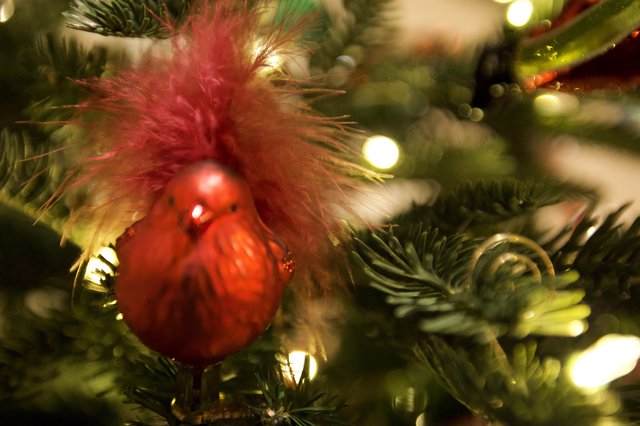 Red Ornament Nestled in Fluffy Christmas Tree Decoration