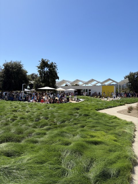 Sunny Day Gathering in Napa