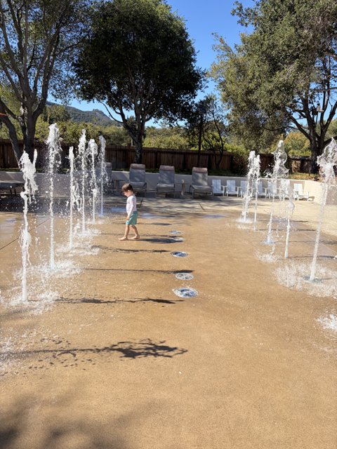 Splashing Through Sunny Days