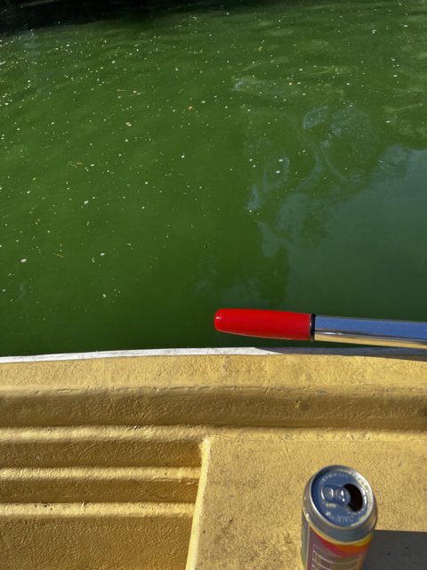Refreshing Break on the Rowboat