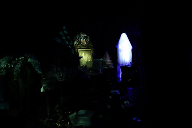 Mysterious Crypt Visit at Disneyland