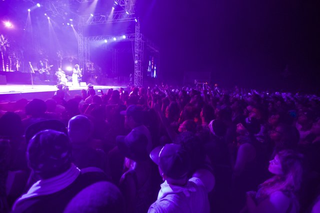 Purple Haze: A Vibrant Crowd at Coachella 2014