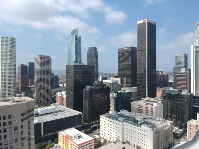 Breathtaking Cityscape of Los Angeles