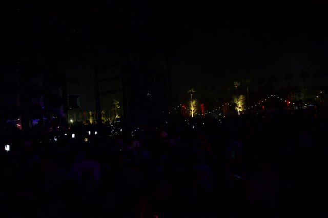 Midnight Pulse: Coachella 2024