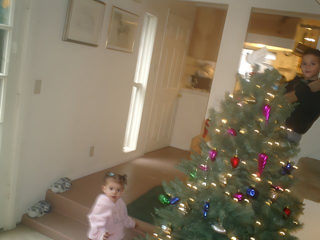 Skyela B admiring Christmas decorations