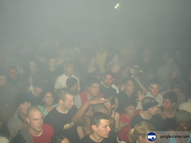 Nightclub Crowd with Smoke