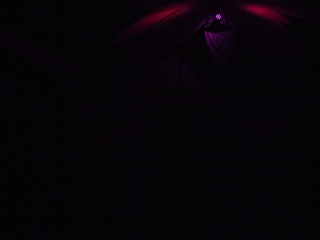Purple Illumination