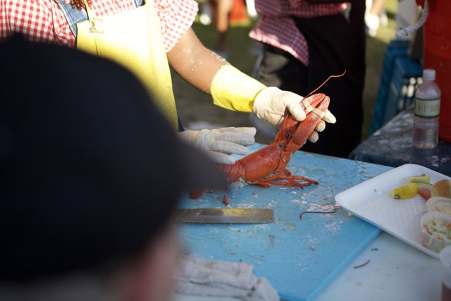 Lobster Cutting Expert