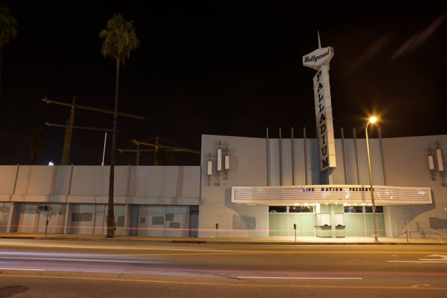 A Night View of the Clock Tower and Palm Trees
