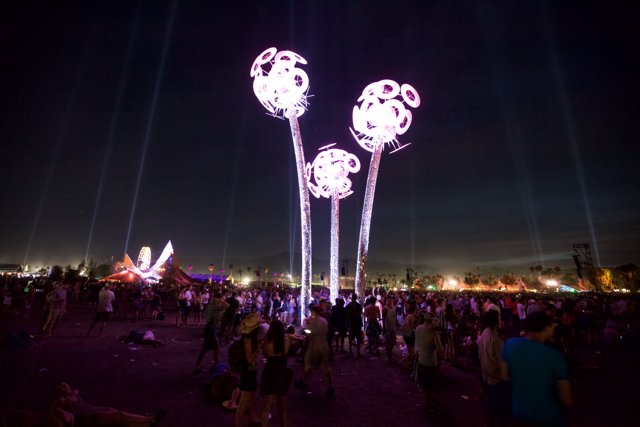 Light Up the Night: Festival Crowd