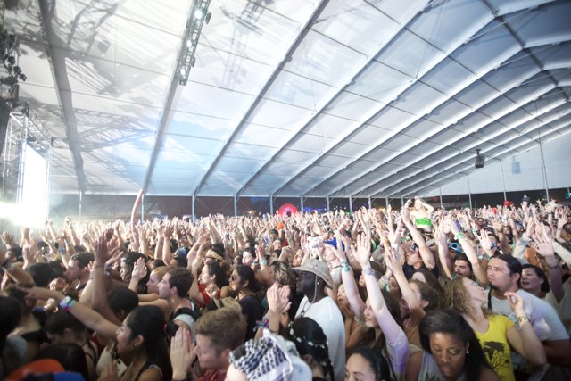 Concert Crowd at Coachella 2014