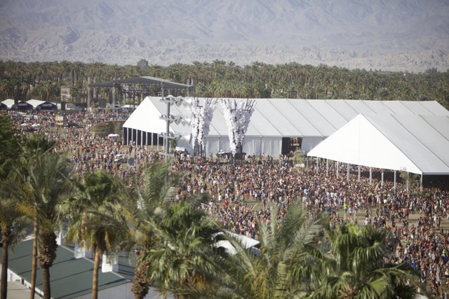 Desert Festival Extravaganza