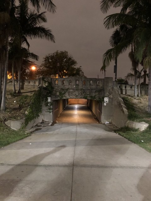 Tropical Walkway at Night