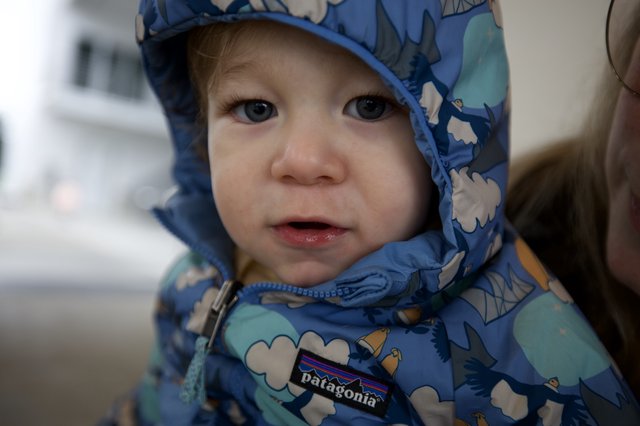 Toddler in Blue Patagonia Winter Jacket Portrait