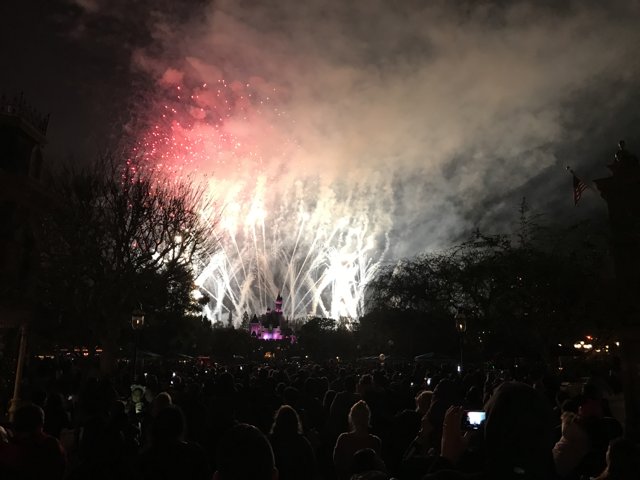 The Spectacular Disneyland Fireworks Display
