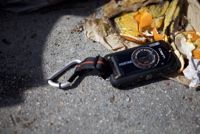 Abandoned camera in the foliage