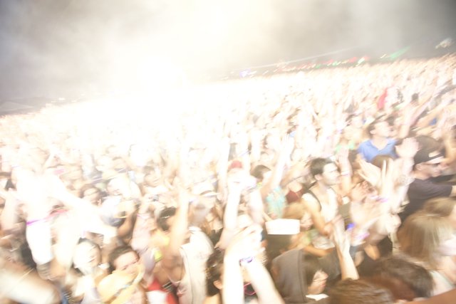 The Excited Masses at Cochella 2010
