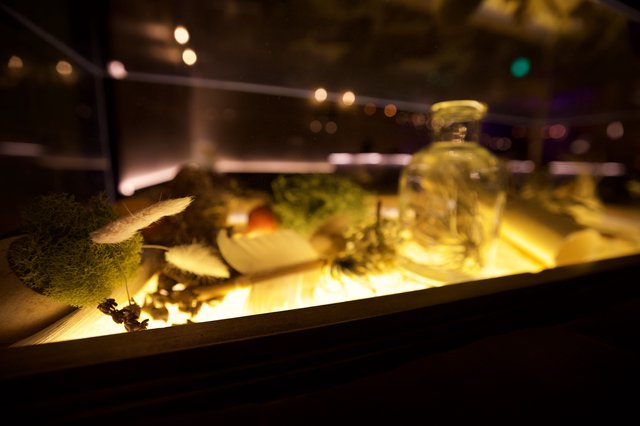Illuminated Natural Curiosities Display at Night