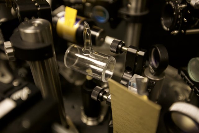 Up close and personal with a lab microscope