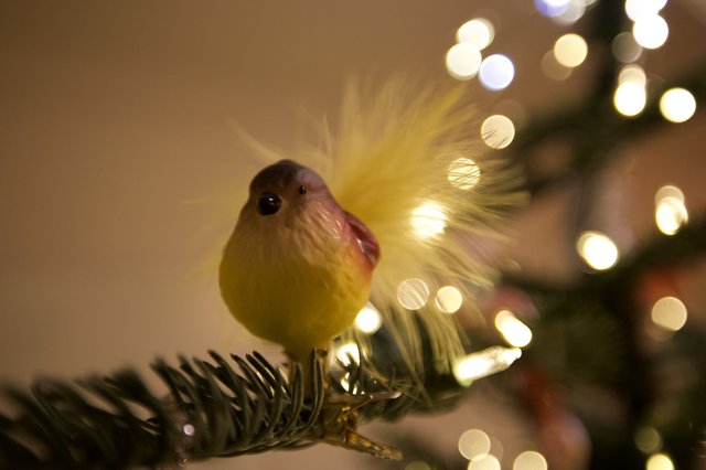 Cheerful Bird Ornament on Illuminated Christmas Tree