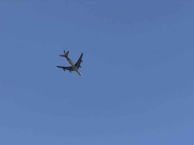 Soaring Above Los Angeles