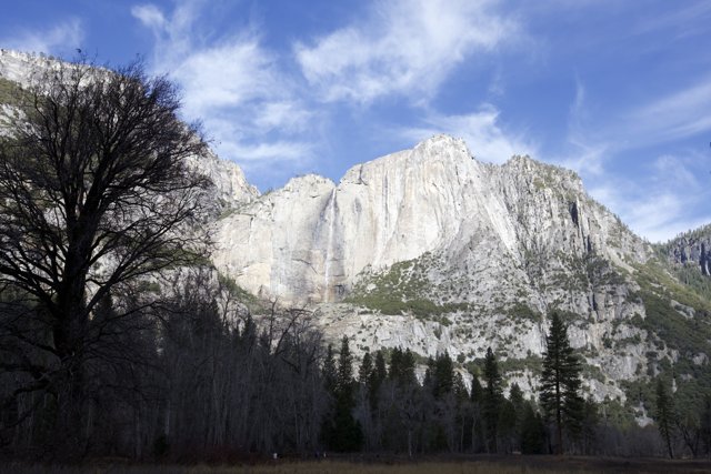 Majestic Icon: Yosemite Wilderness