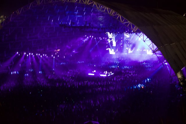 Purple Haze Concert