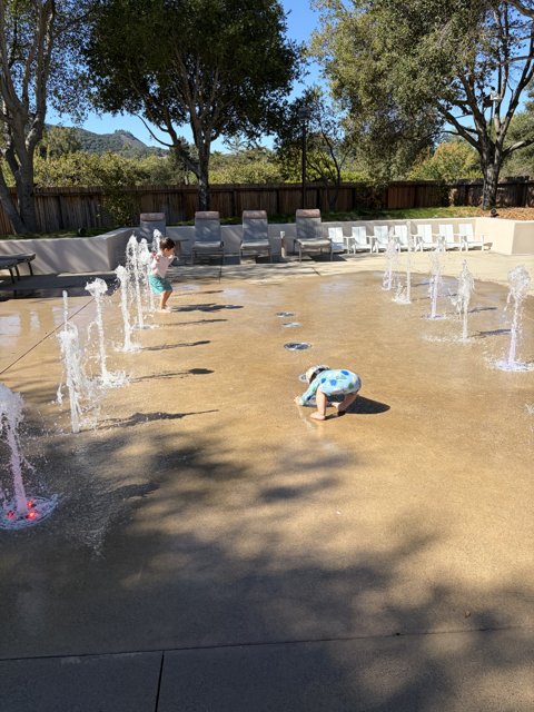 Splashing into Sunshine