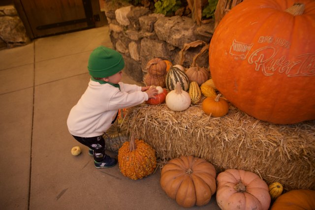 Autumn's Harvest: Wesley's Pumpkin Adventure