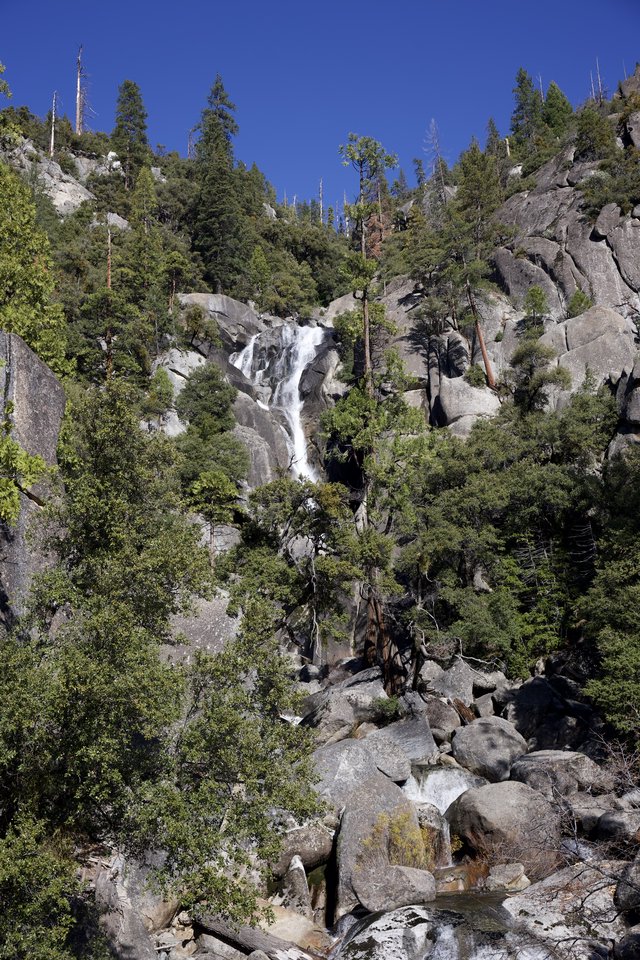 Cascade Falls Through Rocky Mountain Forest