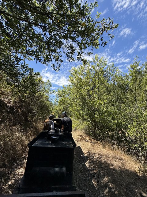 Exploring the Verdant Trails