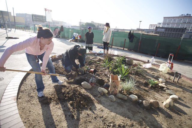 Urban Guerrilla Gardeners Transform City Sidewalk Plot