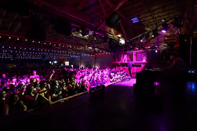 Electric Crowd Pulses Under Magenta Lights at Wobbleland