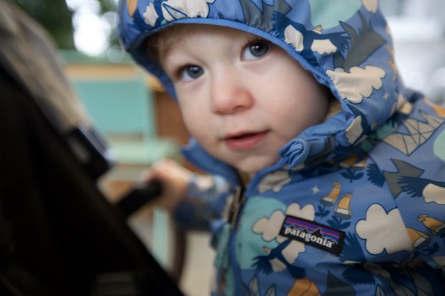 Young Child in Blue Patagonia Winter Jacket