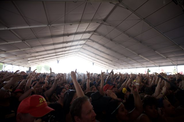 Crowd Goes Wild Caption: The audience at Coachella Day 2 can't contain their excitement during a concert.