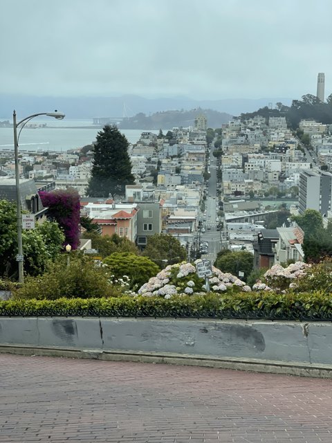 Aerial View of San Francisco Cityscape from George Sterling Park