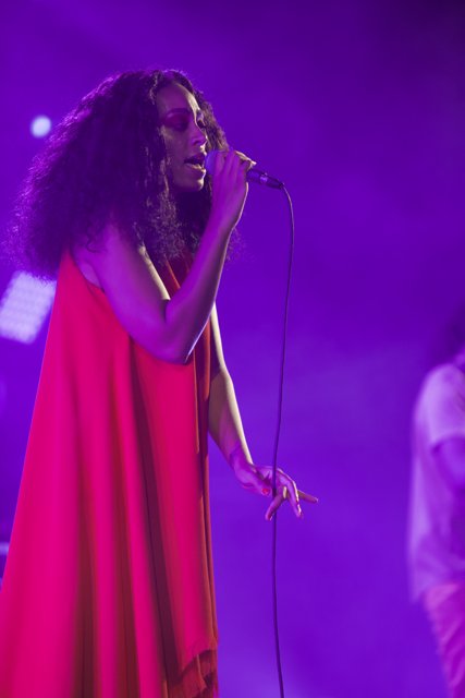 Solange Shines in Red Dress at FYF Festival Solo Performance