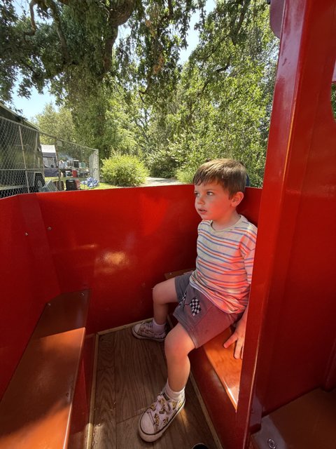 Afternoon Adventures at the Park