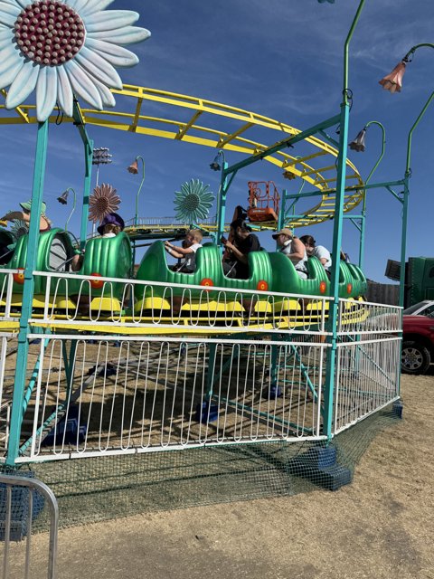 Thrills in Bloom