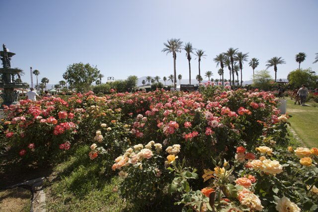 A Garden Oasis at Coachella