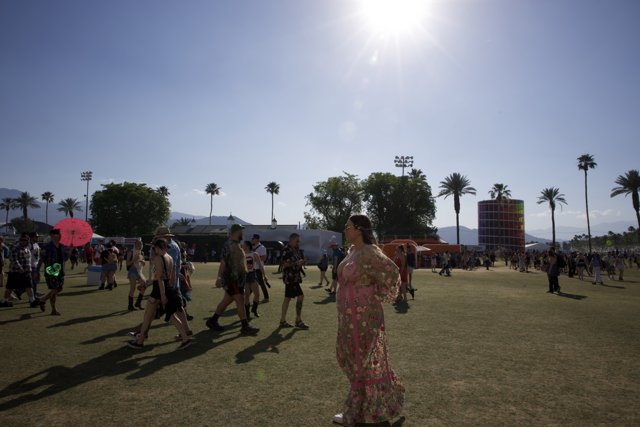 Sunlit Afternoon at Coachella 2024