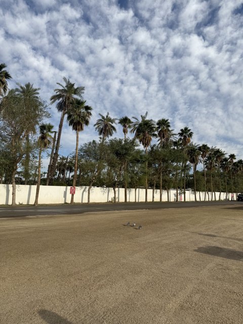 Desert Serenity at Empire Polo Club