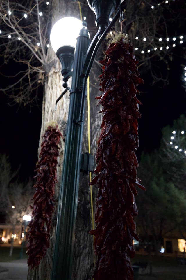 Red Chile Ristras Hanging from Lamppost at Night