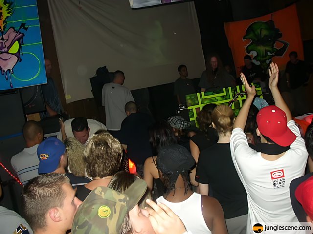 Nightclub Crowd at a DJ Party
