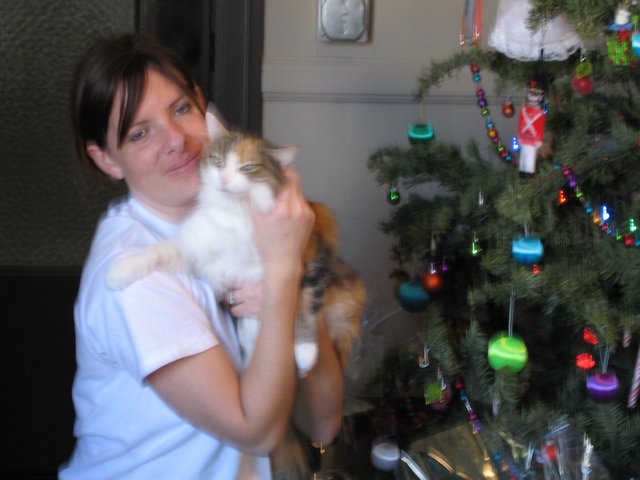 Woman Cuddles Calico Cat by Christmas Tree